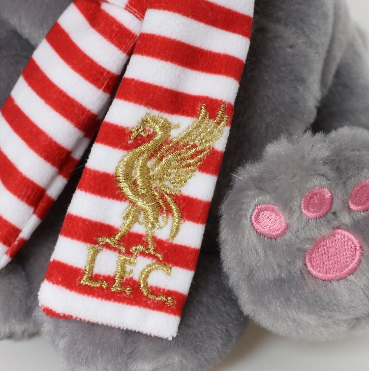 Liverpool FC Grey Plush Puppy Dog | Official LFC Soft Toy | Kids Hug Toy with Striped Scarf & Gold Liverbird